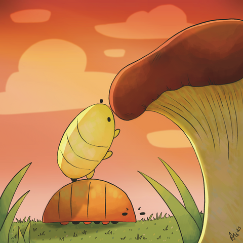 Critters & more