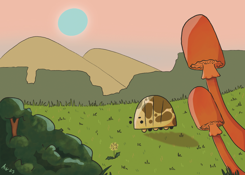 wander
