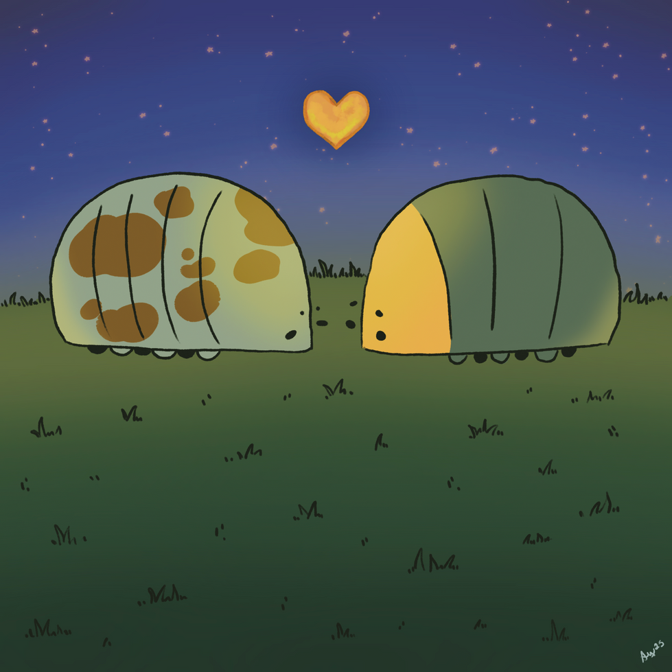 love bugs