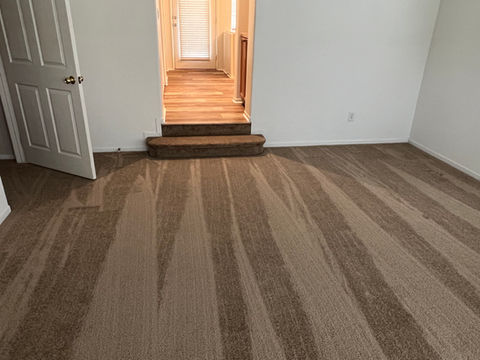 Comfortable wall-to-wall carpet flooring installed by Apflooringsd in a Vista family room.
