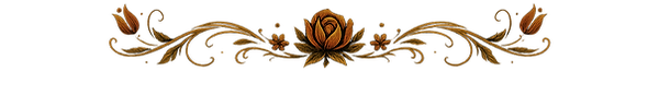 2de16750-86f5-410d-9ed8-aae4977ed2ab_edi