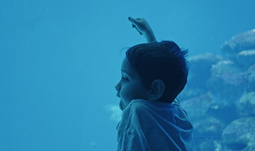 Still 2025-11-28 161701_1.109.2.png