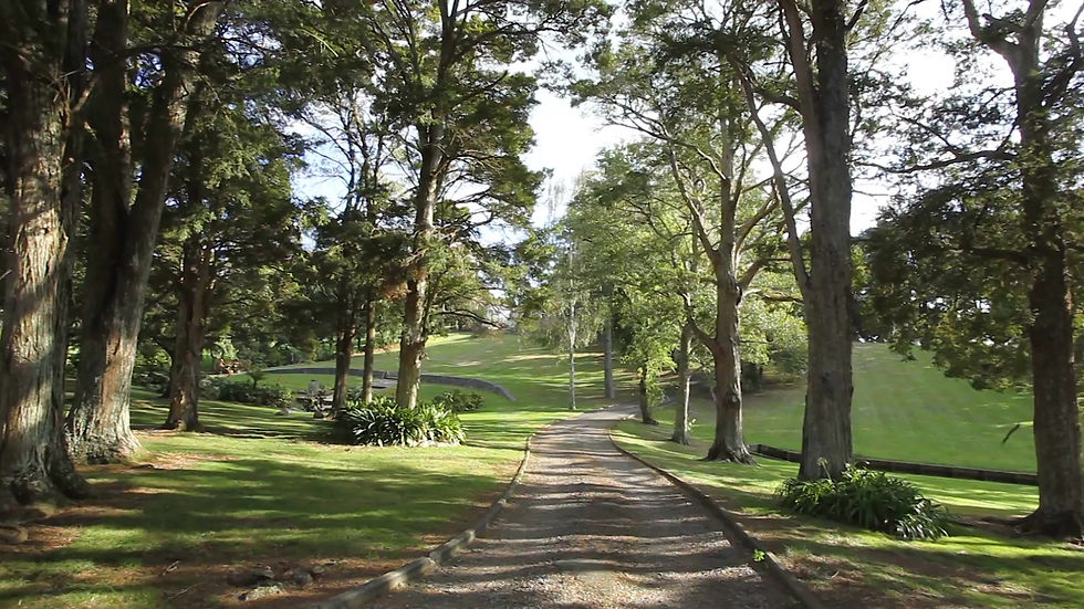 Garden Wedding Venue Auckland Winsford Gardens