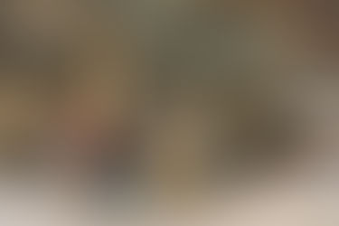 В рамках лаборатории «Культура участия» будет реализован проект в Политехническом музее