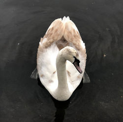 IMG_3327_edited_edited