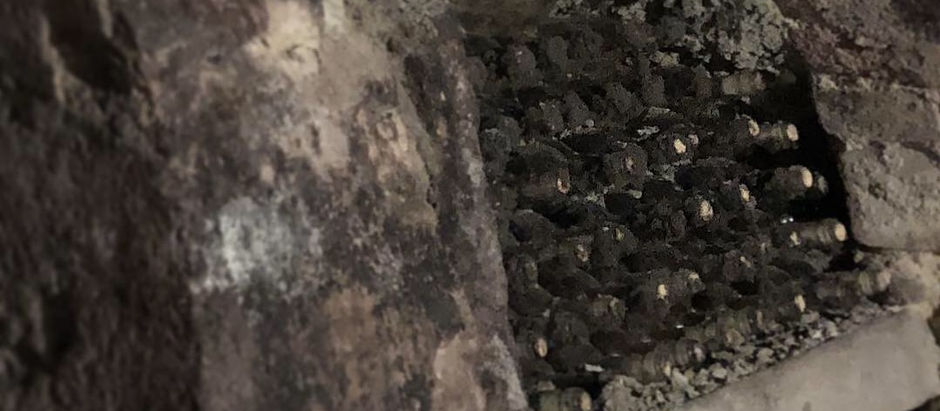 Erst Ehevertrag, dann ein Bier zu viel!