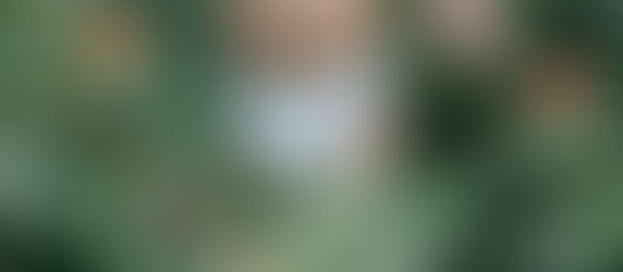 A Compostable Nappy Trial is Coming to the City of Sydney