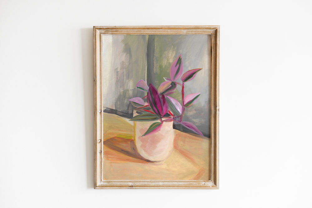 Tradescantia Fluminensis Tricolor - Boho Plants