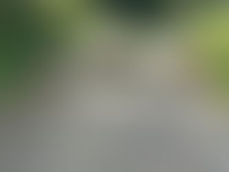 "Il Punto a Mezzogiorno": Il comitato “C’era una volta Patrica” chiede il ripristino di una strada chiusa per frana