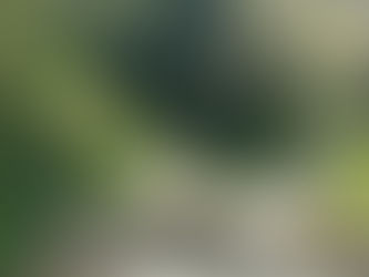 La Provincia: Strade d’accesso al paese chiuse o disastrate, l’appello del Comitato ‘C’era una volta Patrica’ al sindaco