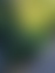 Il comitato civico cittadino  " C' era una volta Patrica "  riceve foto da molti cittadini del degrado esistente e chiede al Comune di Patrica di intervenire e fare la dovuta manutenzione.