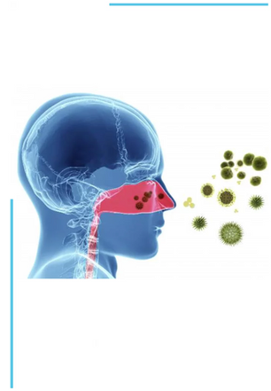 Allergic Rhinitis and Rhinoplasty