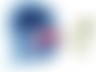Allergic Rhinitis and Rhinoplasty