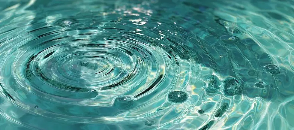 Uzmanlığa ve kanıtlanmış performansa dayalı liderlik.