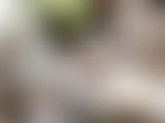 Anonim Şirketlerde Avukat Bulundurma Zorunluluğu