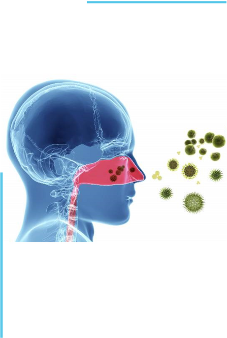 Allergic Rhinitis and Rhinoplasty