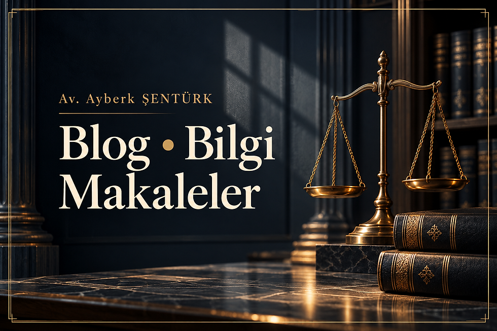 Bursa geri gönderme merkezi ve idari gözetim hakkında bilgilendirici kapak görseli