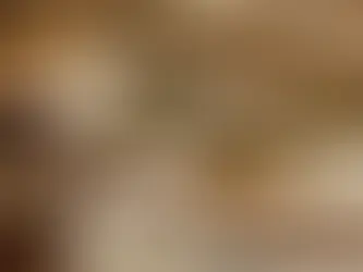 Avukatın Baroya Şikayetine İlişkin Dilekçe Örneği