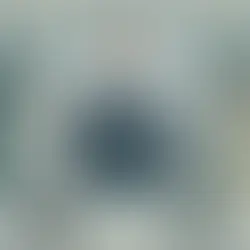 Ankara Avukat