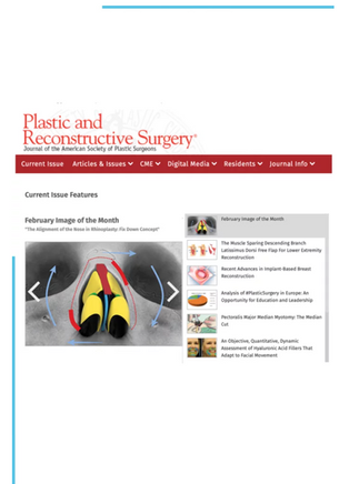 Image of the Month and Most Popular Article in PRS Journal
