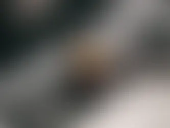 Bilişim Suçları Nereye ve Nasıl Şikayet Edilir?