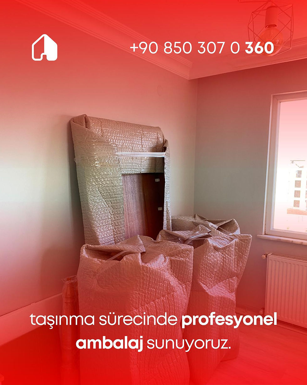 WhatsApp Image 2026-02-10 at 17.43.10 (1).jpeg