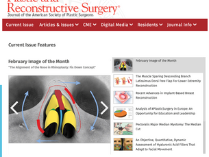 Image of the Month and Most Popular Article in PRS Journal