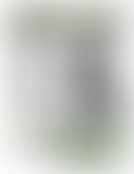 St John's Heritage Appeal