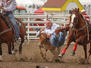 The American Rodeos: Entertainment at The Cost of Animal Welfare