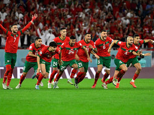 Morocco FIFA World cup and stray dogs