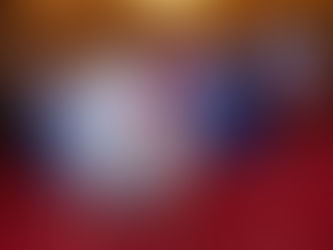 Nov. 25 - Gru Minnesota’s Record Breaking 45 lb Thanksgiving Turkey