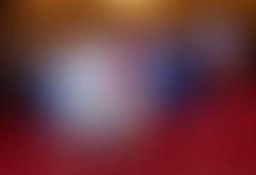 Nov. 25 - Gru Minnesota’s Record Breaking 45 lb Thanksgiving Turkey