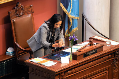 Feb. 17 - OPENING DAY OF SESSION & A DAY OF REMEMBRANCE