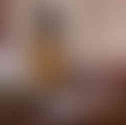 Elector Mausheena Hussian takes the oath of the Electoral College.