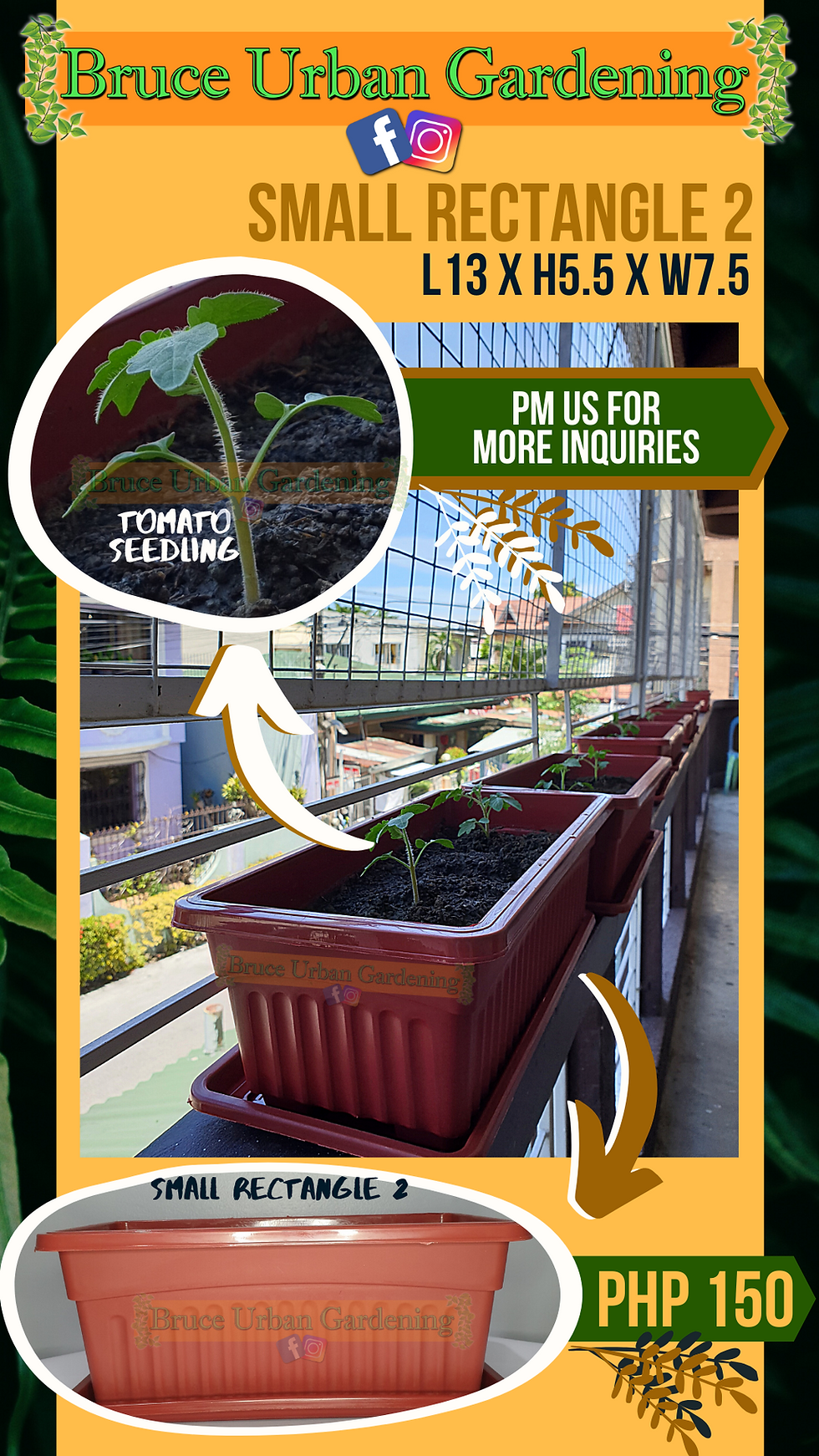 Thumbnail: KAMATIS (TOMATO) SEED