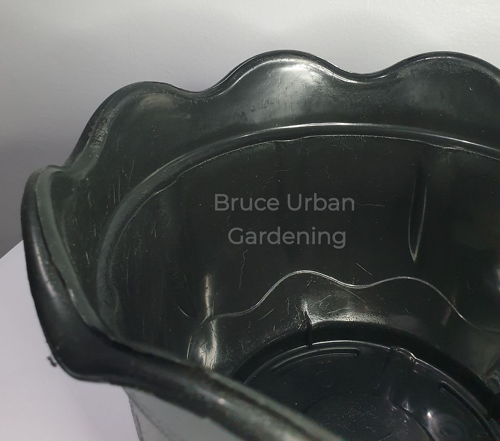 Thumbnail: B Floral Black Pot