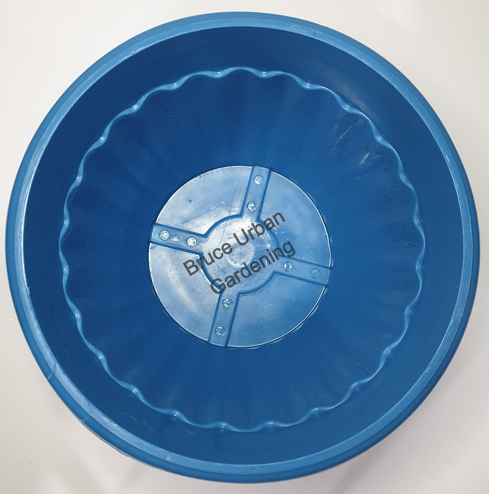 Thumbnail: M Colored Pot