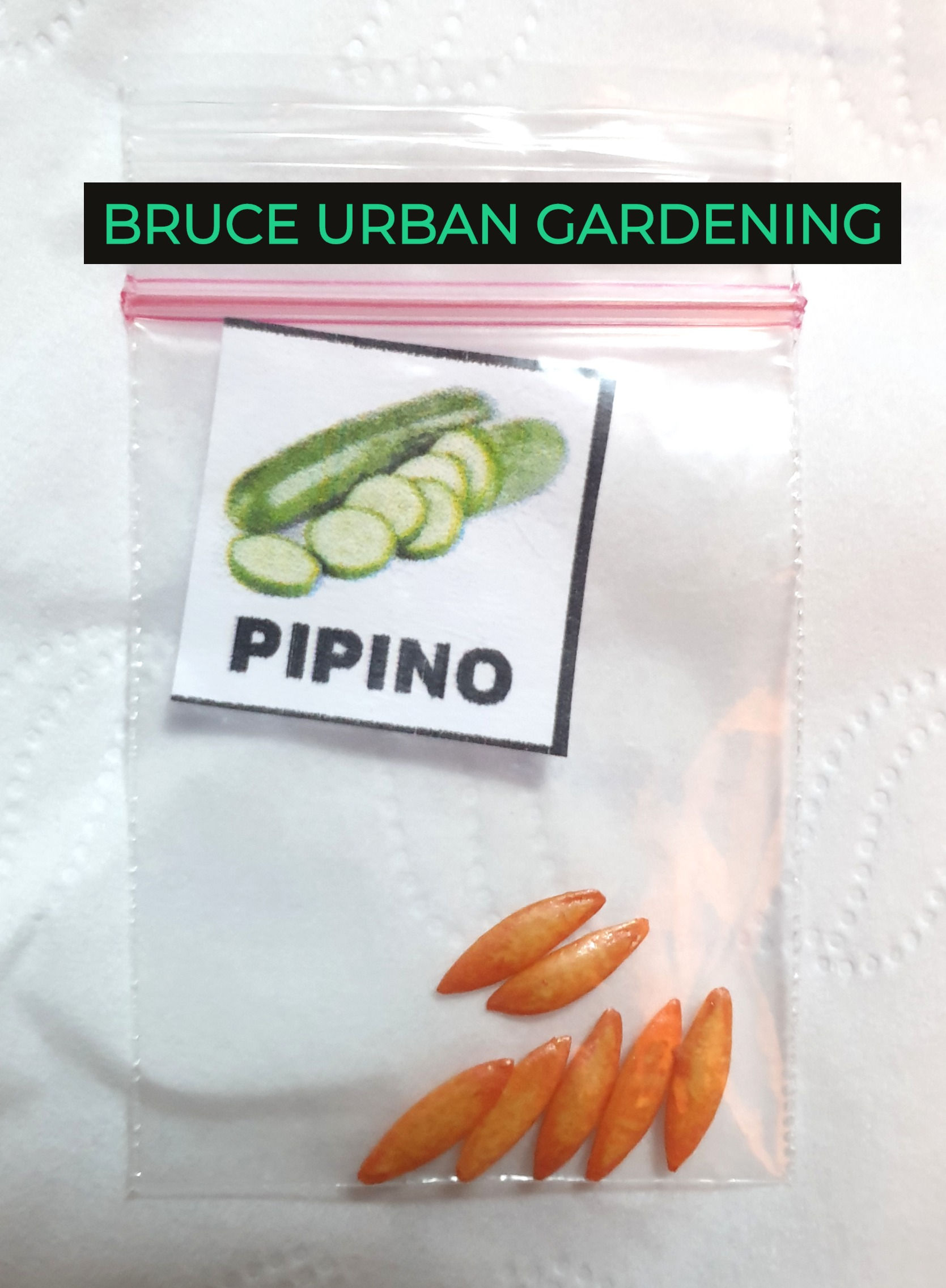 PIPINO (CUCUMBER) SEED