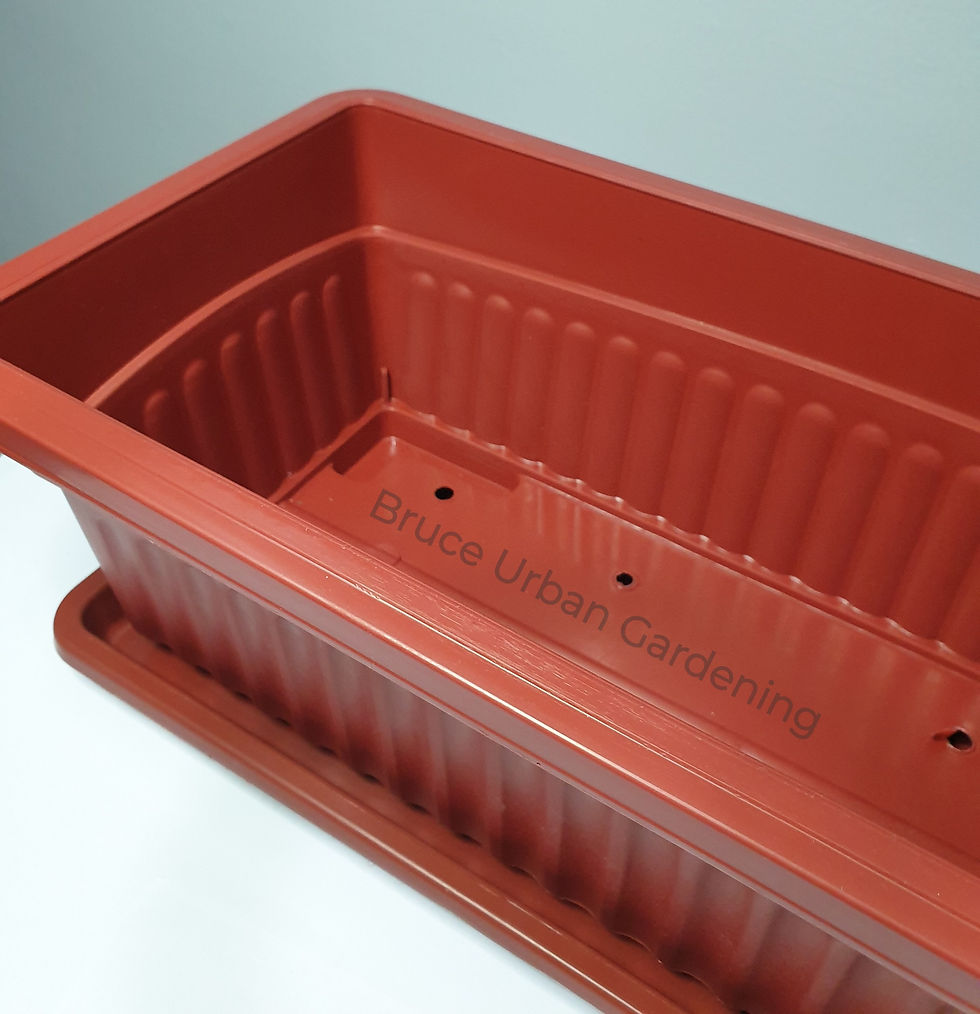 Thumbnail: Medium Rectangle Plant Box 2