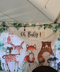 Baby Shower