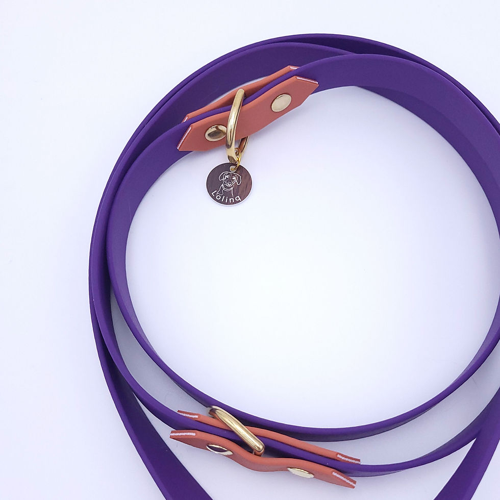 Highland Leash Violett/Aprikosenbrandy, 1.8m