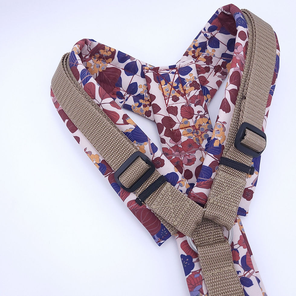 Geschirr Gr. XL, Japan Flowers/Beige