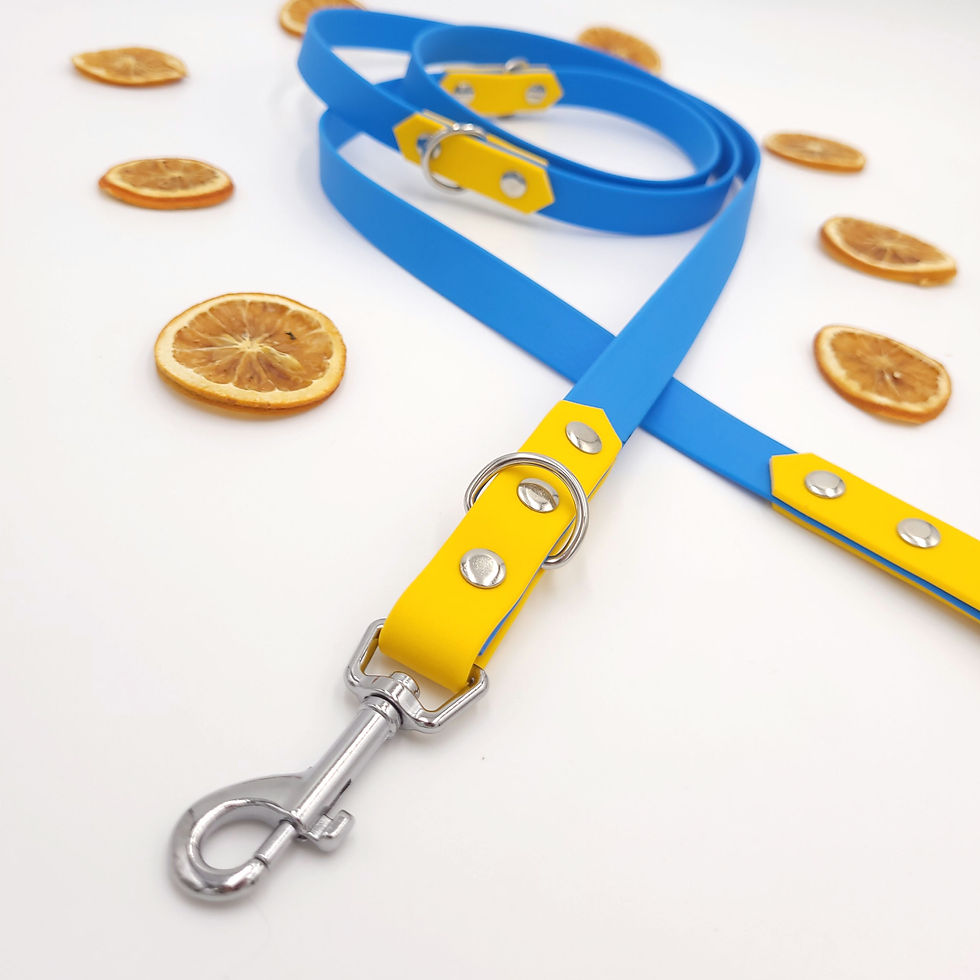 Highland Leash Blau/Gelb, 1.8m