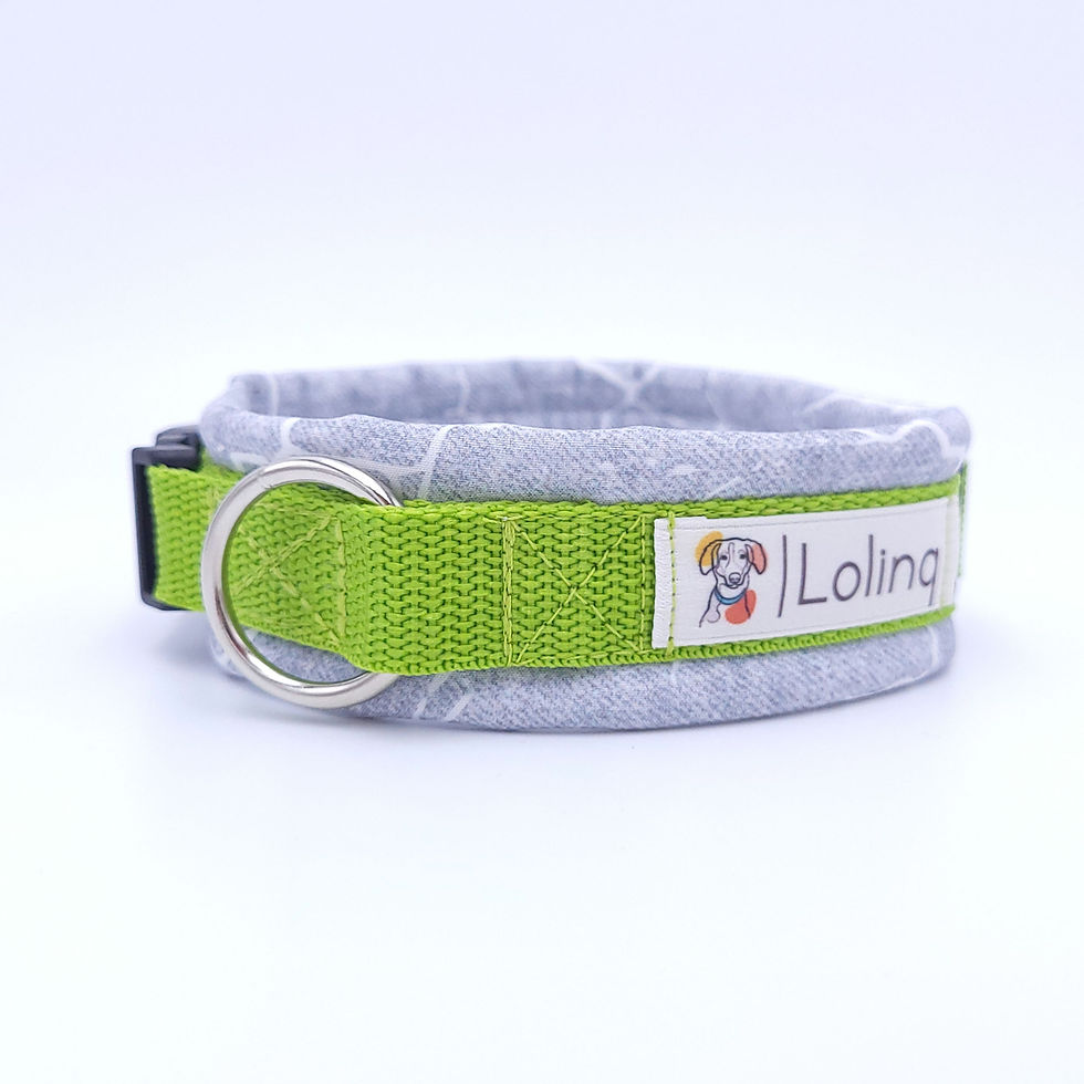 Halsband Gr. S, Cracks/Lime