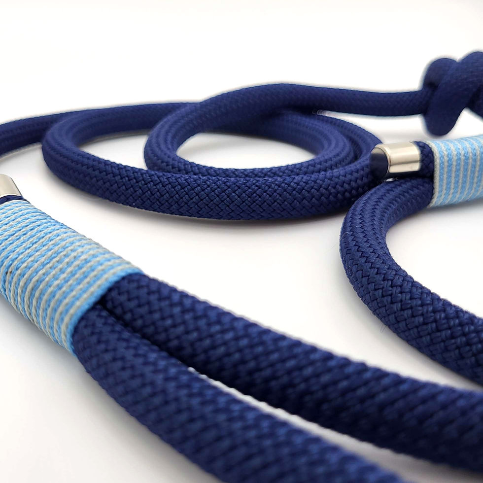 Tauleine (Agility-/Retrieverleine), 1,0m