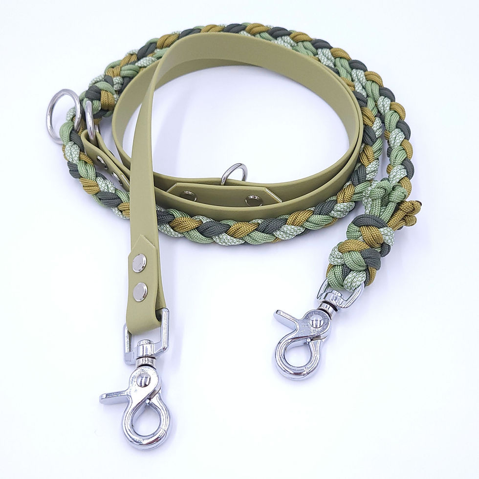 50/50 Paracord X Highland Leine, 1.8m