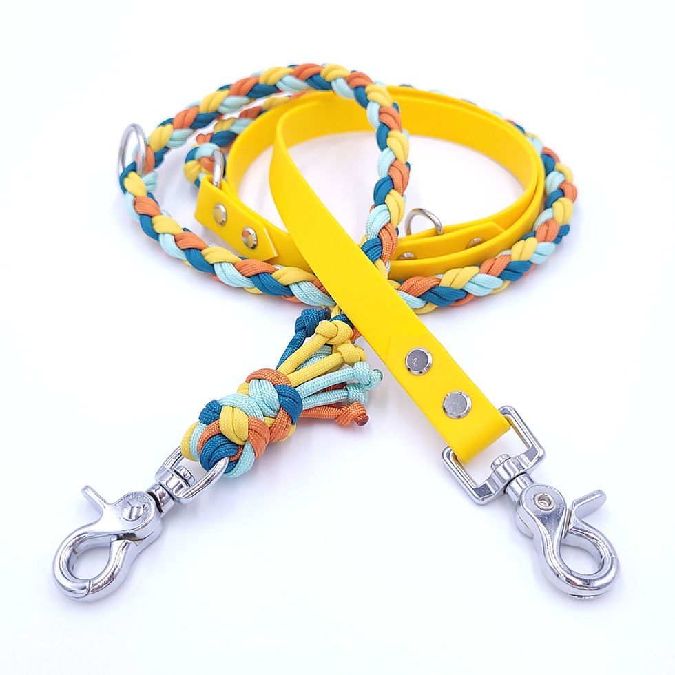 50/50 Paracord X Highland Leine, 1.8m