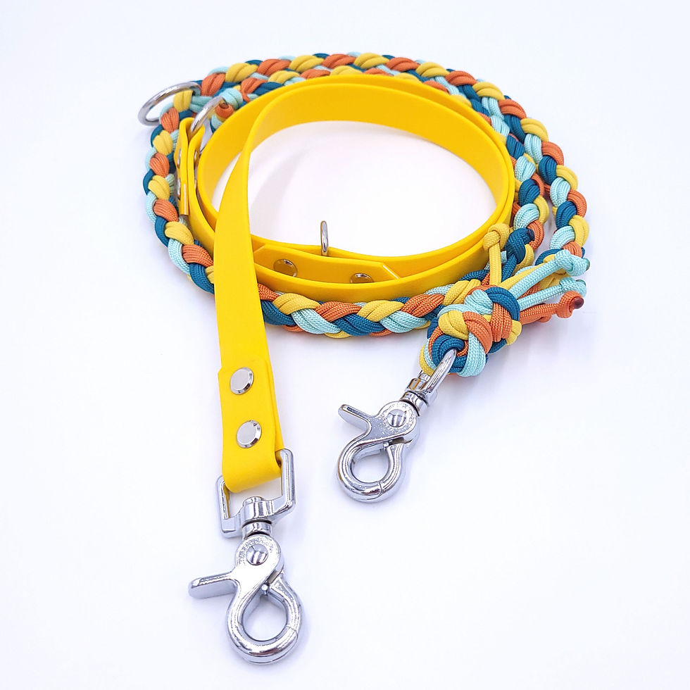 50/50 Paracord X Highland Leine, 1.8m