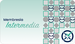 Intermedia.png