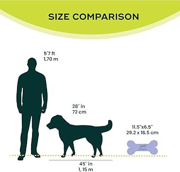 サムネイル： マンゴー、2個セット